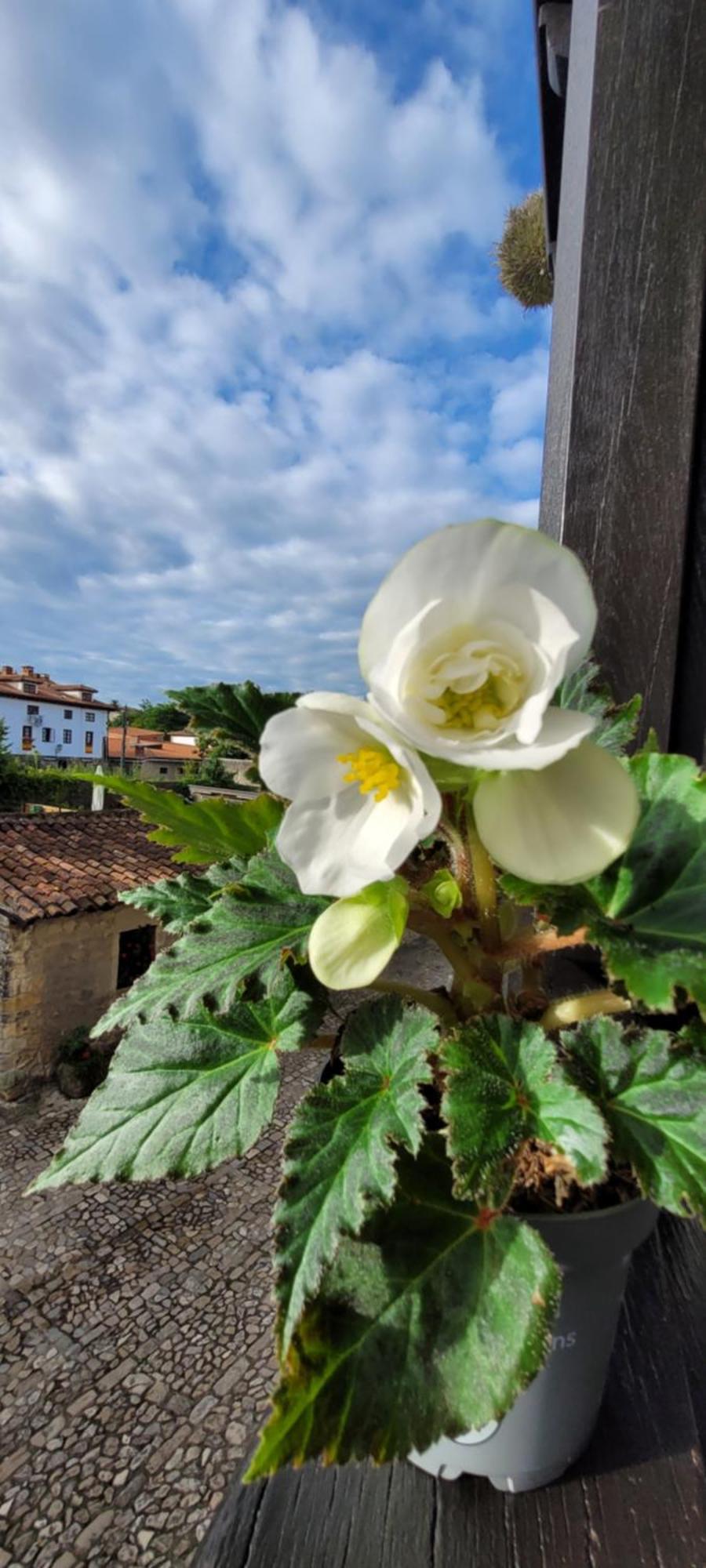 Casa Del Lavadero Apartment Santillana del Mar Ngoại thất bức ảnh